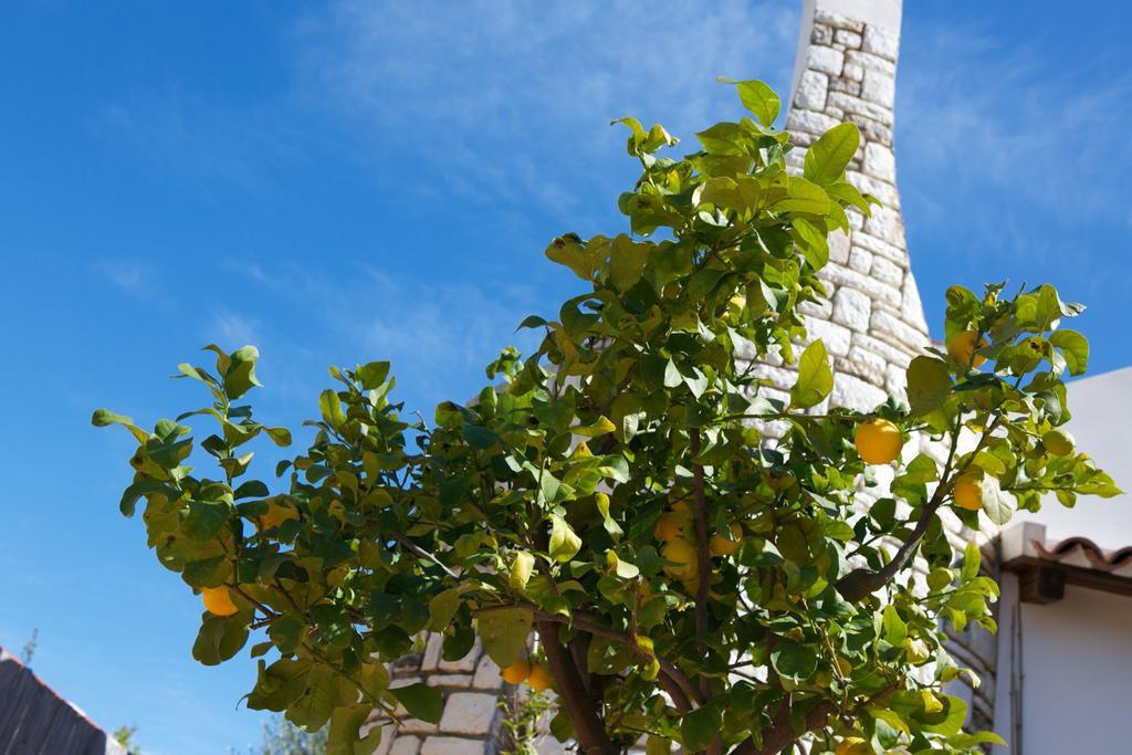 B&B La Pomelia Agrigento Exterior photo